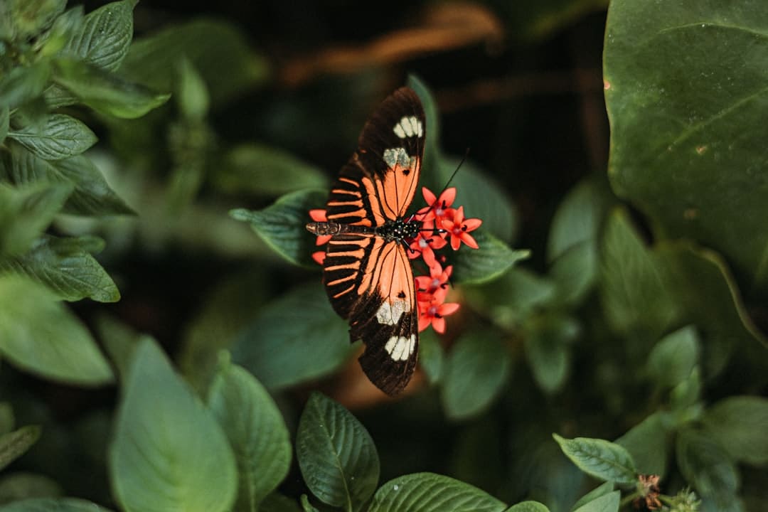 《归队》福庆角色介绍